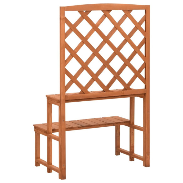 Suport Plante Lemn Masiv cu Spalier - Livrare Gratuita