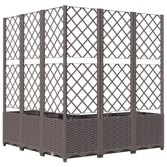 Jardinieră Grădină cu Spalier - Maro - 120x120x136 cm