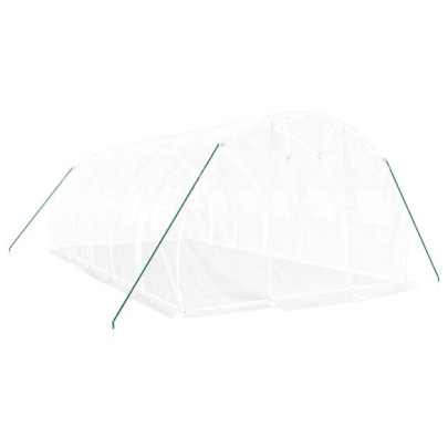 Seră Albă Oțel 6x3m - Cultivă Legume și Plante