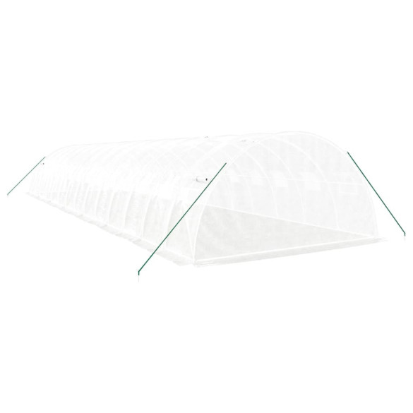 Seră Albă Profesională 14x4m - Cadru Oțel | Livrare Gratuită