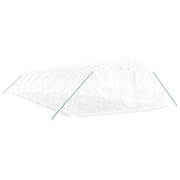 Seră Albă din Oțel 70 m² - Cultivă Legume și Fructe