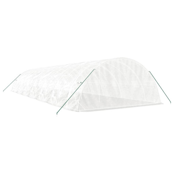 Seră Albă din Oțel 70 m² - Cultivă Legume și Fructe