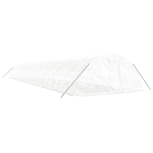 Seră Albă de Oțel 120 m² - Cultivă Fructe și Legume