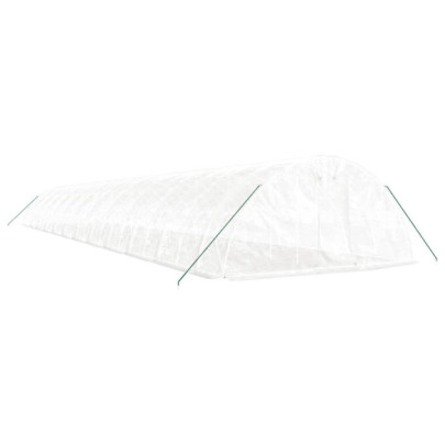 Seră Albă de Oțel 120 m² - Cultivă Fructe și Legume