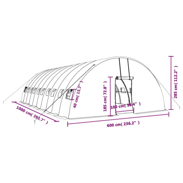 Seră Gradină Oțel 10x6m - Livrare Gratuită Seră Gradină Oțel 10x6m - Livrare Gratuită