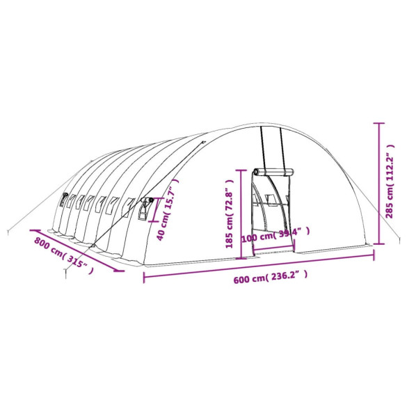 Seră Albă de Oțel 8x6m - Livrare Gratuită | Cultivă Legume Seră Albă de Oțel 8x6m - Livrare Gratuită | Cultivă Legume