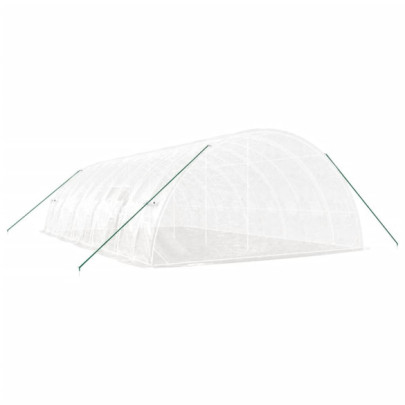 Seră Albă de Oțel 60 m² - Cultivă Fructe și Legume