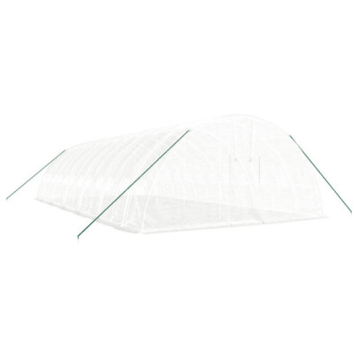 Seră Albă din Oțel 12x6m - Cultivă Legume și Fructe