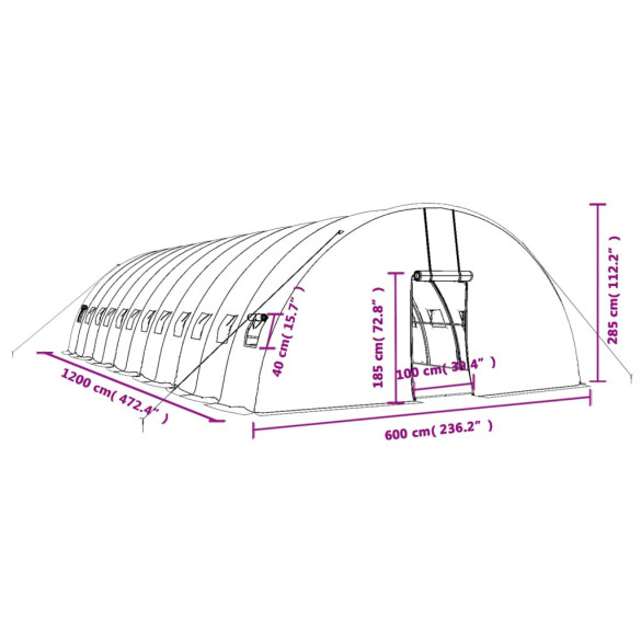 Seră Albă din Oțel 12x6m - Cultivă Legume și Fructe Seră Albă din Oțel 12x6m - Cultivă Legume și Fructe