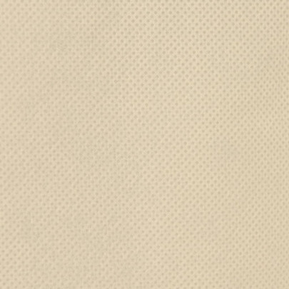 Huse Protecție Plante Iarnă - 4 bucăți cu Fermoar