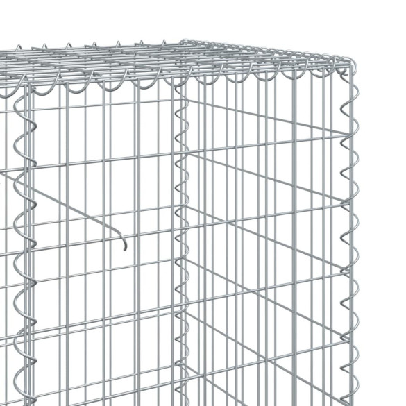 Coș Gabion cu Capac - Fier Galvanizat 200x50x100 cm | Livrare Gratuită