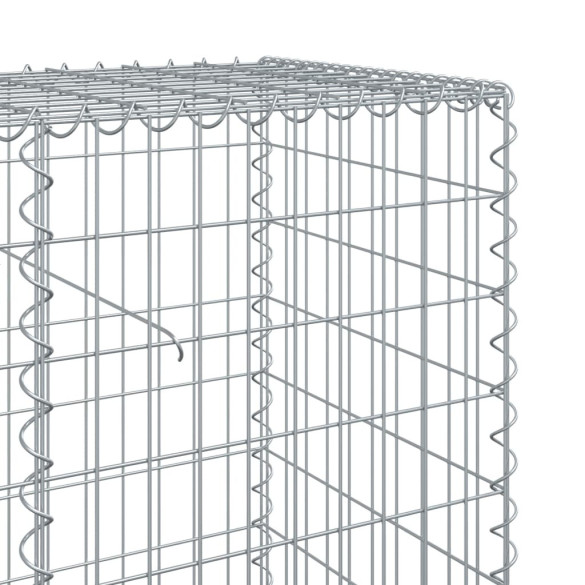 Coș Gabion cu Capac - Fier Galvanizat - 900x50x100 cm