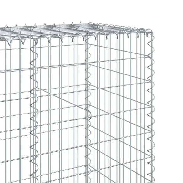 Coș Gabion cu Capac - Fier Galvanizat - 300x50x200 cm