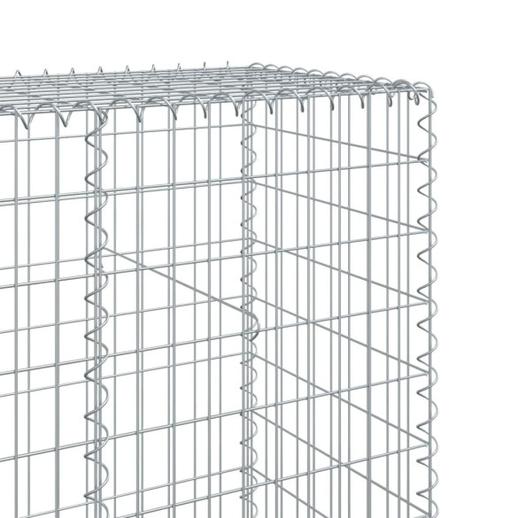 Coș Gabion cu Capac - Fier Galvanizat - 120x50x200 cm