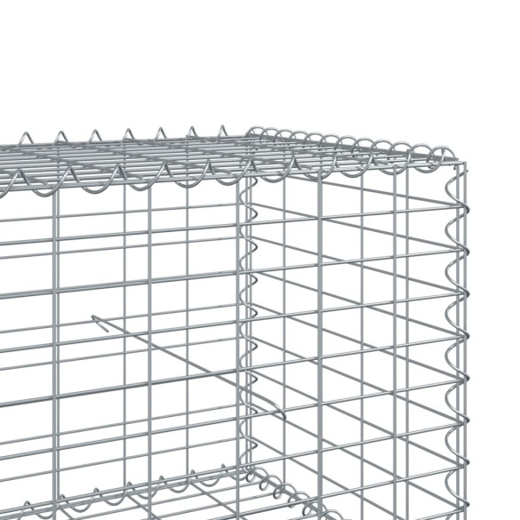 Coș Gabion cu Capace - Fier Galvanizat - 700x100x50 cm