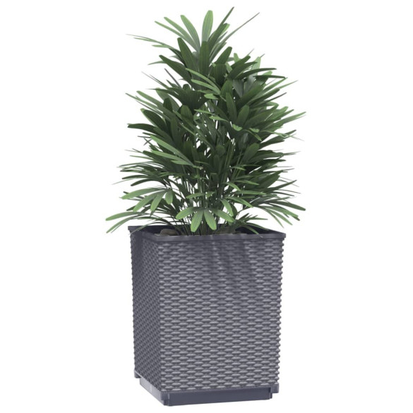Set 4 Jardiniere Polipropilena | Decor Gradina