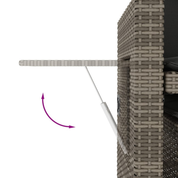 Bancă Grădină Rabatabilă cu Perne - Canapea Extensibilă