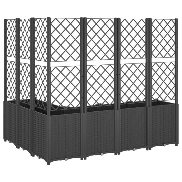Jardinieră Grădină cu Spalier - Negru - 160x120x140 cm