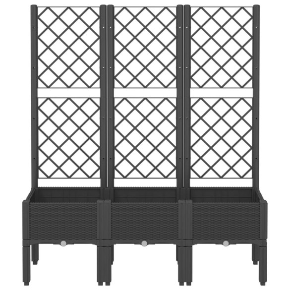 Jardinieră Grădină cu Spalier Negru - Plantare Verticală