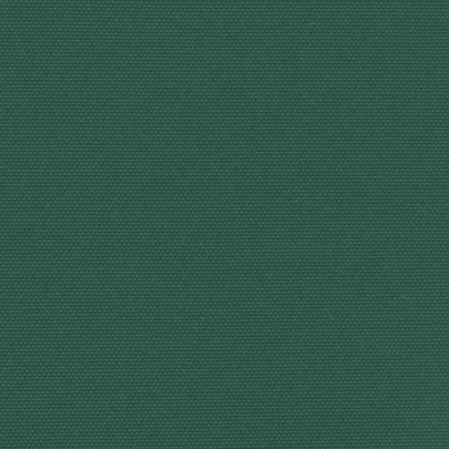 Copertină Laterală Retractabilă Verde - 160x300 cm