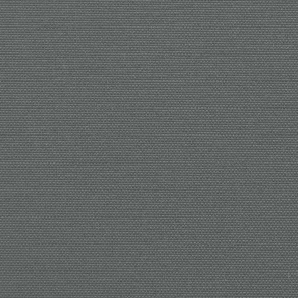 Copertină Laterală Retractabilă Antracit 220x300 cm