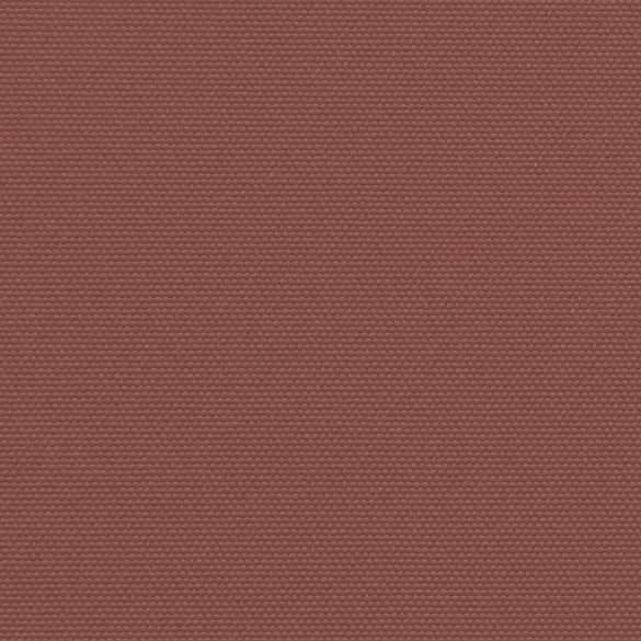 Copertină Laterală Retractabilă Maro 100x500 cm | Livrare Gratuită