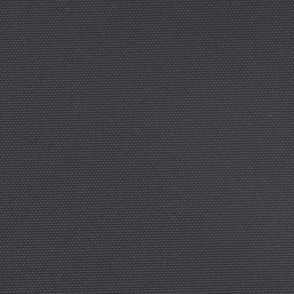 Copertină Laterală Retractabilă - Negru 180x500 cm