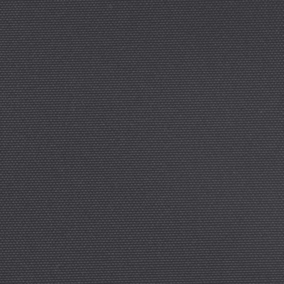 Copertină Laterală Retractabilă - Negru 200x500 cm | Livrare Gratuită