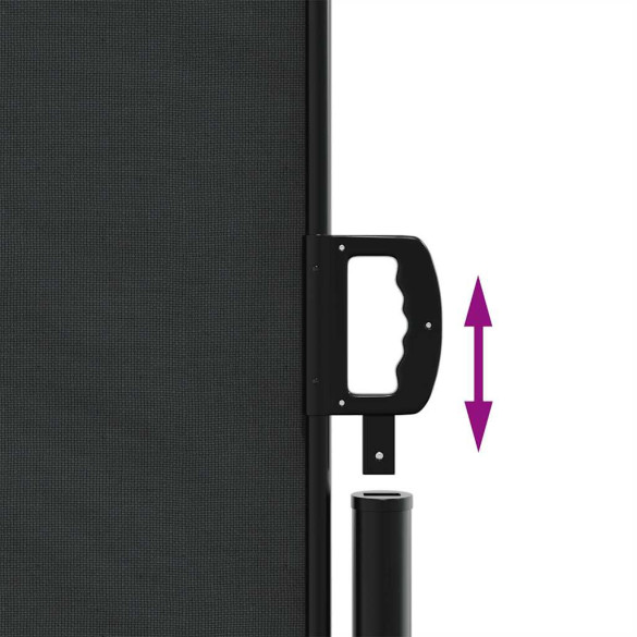 Copertină Laterală Retractabilă 220x500 cm - Negru | Livrare Gratuită