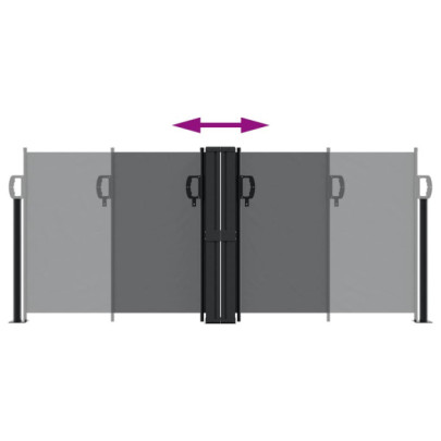 Copertină Laterală Retractabilă - Negru - 100x600 cm