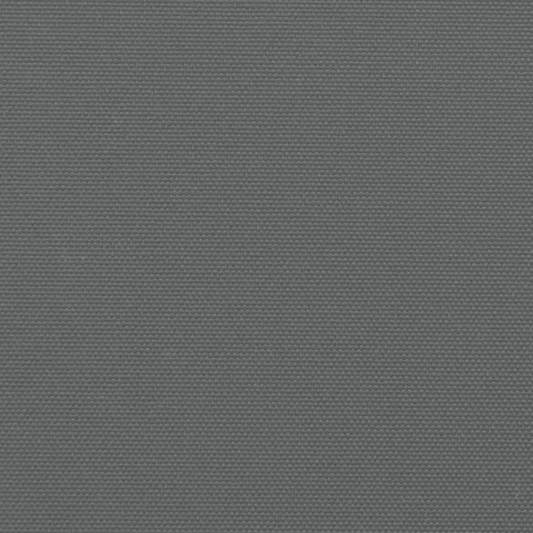 Copertină Laterală Retractabilă Antracit - 140x600 cm