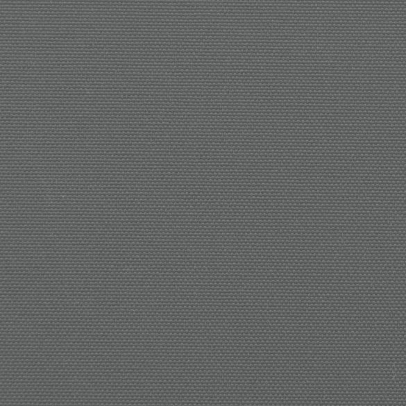 Copertină Laterală Retractabilă Antracit - 160x600 cm