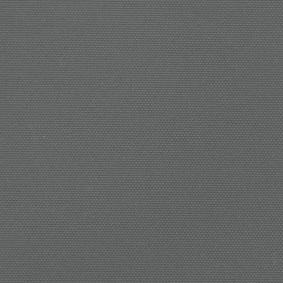 Copertină Laterală Retractabilă Antracit - 160x600 cm