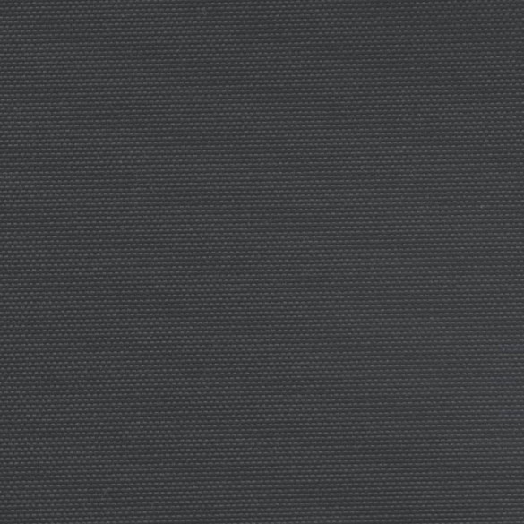 Copertină Laterală Retractabilă - Negru - 100x1000 cm