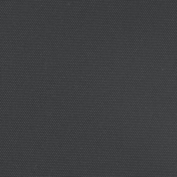 Copertină Laterală Retractabilă - Negru - 140x1000 cm