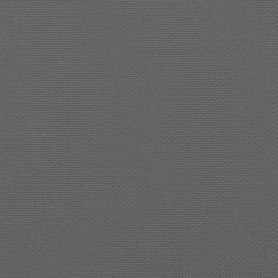 Copertină Laterală Retractabilă Antracit - 160x1000 cm