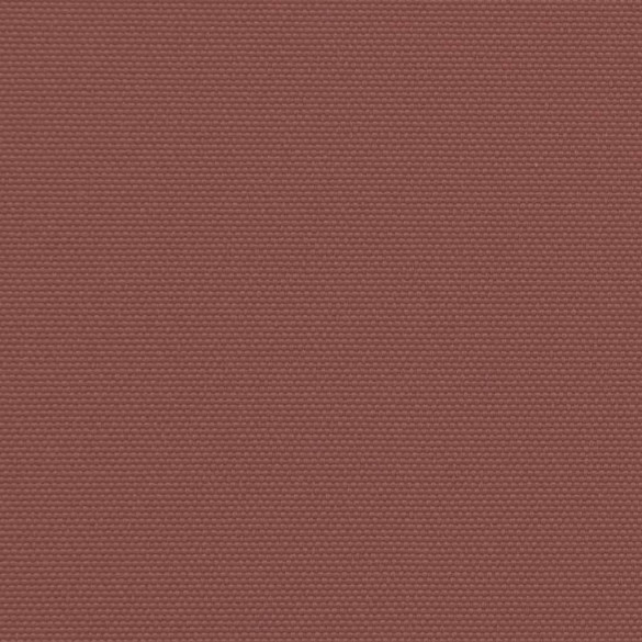 Copertină Laterală Retractabilă Maro - 180x1000 cm