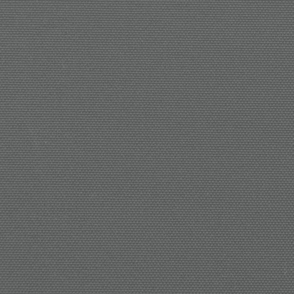 Copertină Laterală Retractabilă Antracit 180x1200 cm
