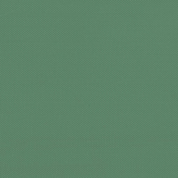 Cort Pop-Up Petreceri Verde | 5.8x2.9m | Livrare Gratuită