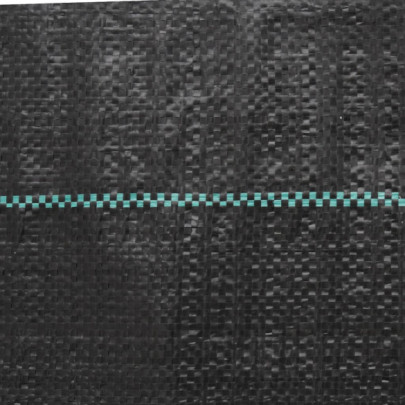Membrană antiburuieni negru 2x100m PP | Livrare gratuită