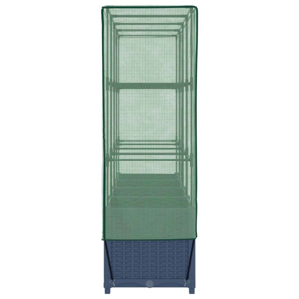 Strat Înălțat cu Seră Ratan - Livrare Gratuită