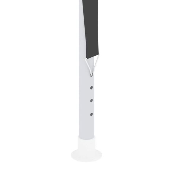 Cort Petrecere Profesional 4x9m cu Pereți Antracit