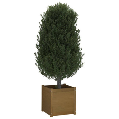 Jardiniere Grădină Lemn Masiv Pin - 2 Bucăți, 50x50x50 cm