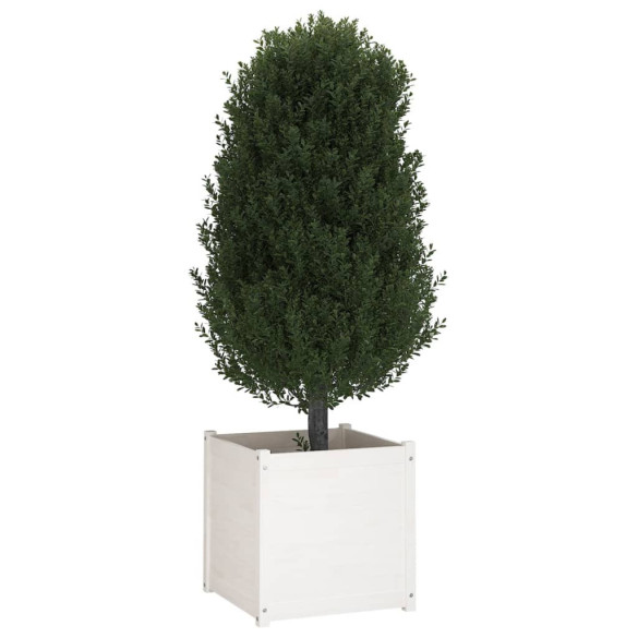 Jardiniere Grădină Lemn Masiv Pin 60x60x60 cm - 2 bucăți