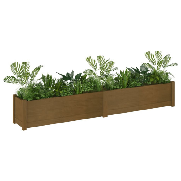 Jardinieră Lemn Masiv Pin 200x31x31 cm - Livrare Gratuită
