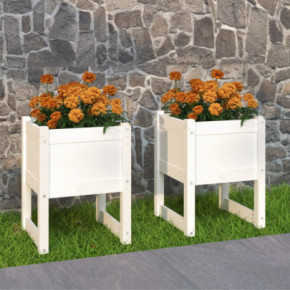 Jardiniere Lemn Masiv Pin - Set 2 Bucati - Alb