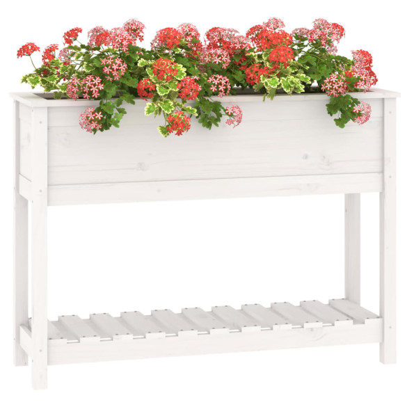 Jardinieră cu Raft - Lemn Masiv de Pin - Alb - 111,5x34,5x81 cm