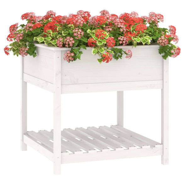 Jardinieră cu Raft Alb - Lemn Masiv de Pin - 82,5x82,5x81 cm
