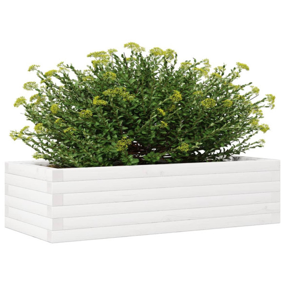 Jardinieră Grădină Albă Lemn Masiv de Pin - 90x40x23 cm