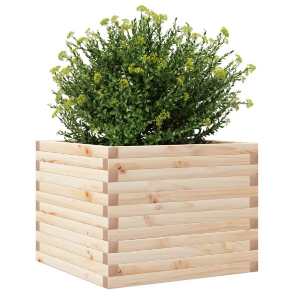 Jardinieră Lemn Masiv de Pin 60x60x45,5 cm - Livrare Gratuită